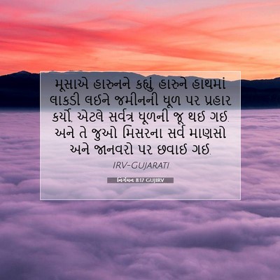 Picture 07 - નિર્ગમન 8:17 GUJIRV - મૂસાએ હારુનને - Bible Verse Picture