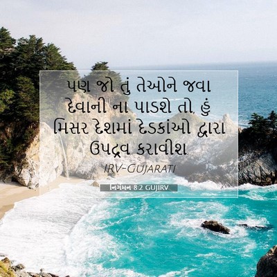 Picture 07 - નિર્ગમન 8:2 GUJIRV - પણ જો તું તેઓને જવા - Bible Verse Picture