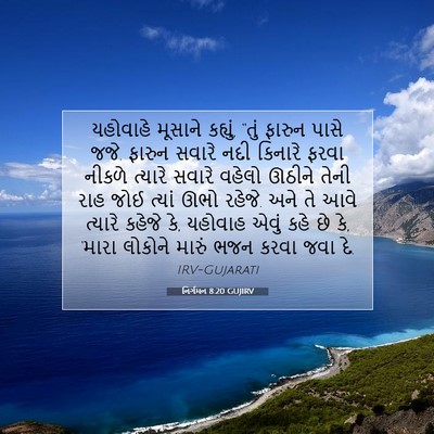 Picture 07 - નિર્ગમન 8:20 GUJIRV - યહોવાહે મૂસાને - Bible Verse Picture
