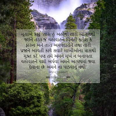 Picture 07 - નિર્ગમન 8:29 GUJIRV - મૂસાએ કહ્યું, - Bible Verse Picture