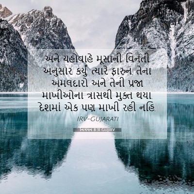 Picture 07 - નિર્ગમન 8:31 GUJIRV - અને યહોવાહે - Bible Verse Picture