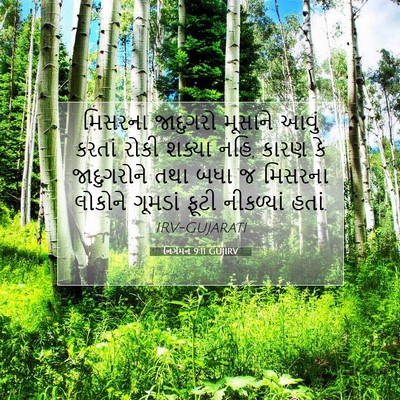 Picture 07 - નિર્ગમન 9:11 GUJIRV - મિસરના જાદુગરો - Bible Verse Picture