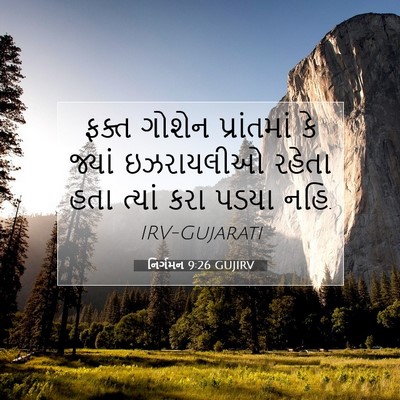 Picture 07 - નિર્ગમન 9:26 GUJIRV - ફક્ત ગોશેન - Bible Verse Picture