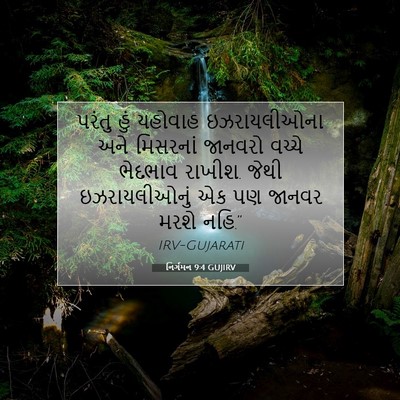Picture 07 - નિર્ગમન 9:4 GUJIRV - પરંતુ હું યહોવાહ - Bible Verse Picture