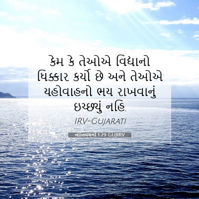 Picture 07 - નીતિવચનો 1:29 GUJIRV - કેમ કે તેઓએ - Bible Verse Picture