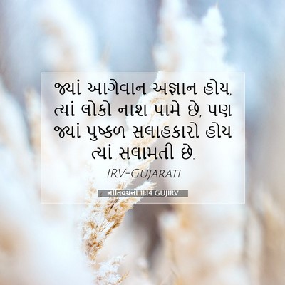 Picture 07 - નીતિવચનો 11:14 GUJIRV - જ્યાં આગેવાન - Bible Verse Picture