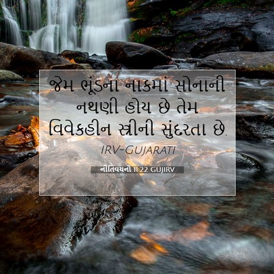 Picture 07 - નીતિવચનો 11:22 GUJIRV - જેમ ભૂંડના નાકમાં - Bible Verse Picture