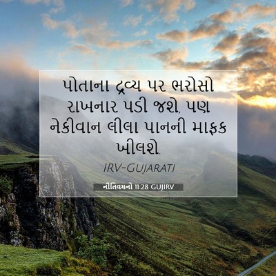 Picture 07 - નીતિવચનો 11:28 GUJIRV - પોતાના દ્રવ્ય પર - Bible Verse Picture