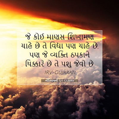 Picture 07 - નીતિવચનો 12:1 GUJIRV - જે કોઈ માણસ શિખામણ - Bible Verse Picture