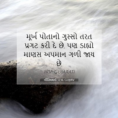 Picture 07 - નીતિવચનો 12:16 GUJIRV - મૂર્ખ પોતાનો - Bible Verse Picture