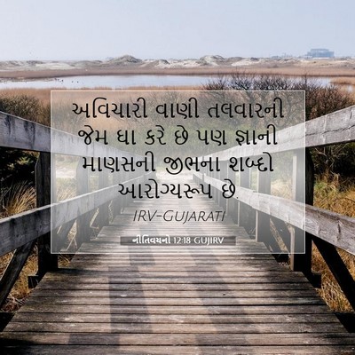 Picture 07 - નીતિવચનો 12:18 GUJIRV - અવિચારી વાણી - Bible Verse Picture