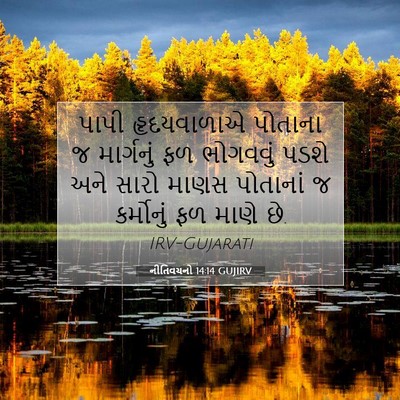 Picture 07 - નીતિવચનો 14:14 GUJIRV - પાપી હૃદયવાળાએ - Bible Verse Picture