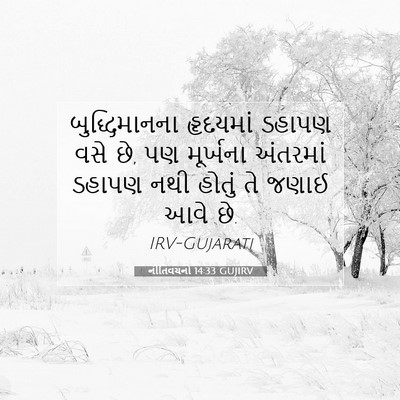 Picture 07 - નીતિવચનો 14:33 GUJIRV - બુદ્ધિમાનના - Bible Verse Picture