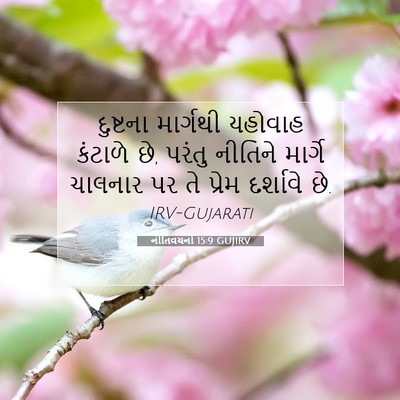 Picture 07 - નીતિવચનો 15:9 GUJIRV - દુષ્ટના માર્ગથી - Bible Verse Picture