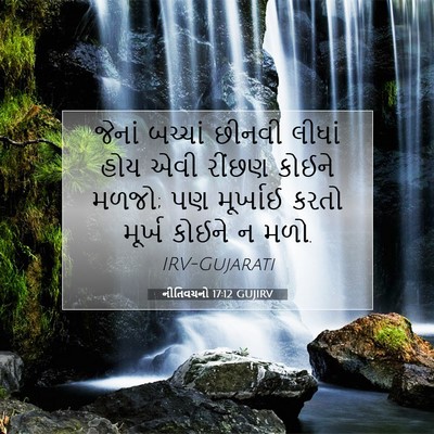 Picture 07 - નીતિવચનો 17:12 GUJIRV - જેનાં બચ્ચાં - Bible Verse Picture