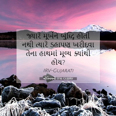 Picture 07 - નીતિવચનો 17:16 GUJIRV - જ્યારે મૂર્ખને - Bible Verse Picture