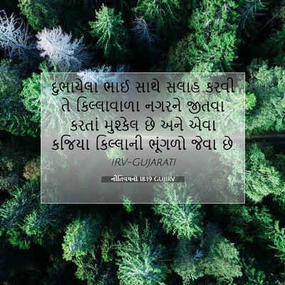 Picture 07 - નીતિવચનો 18:19 GUJIRV - દુભાયેલા ભાઈ સાથે - Bible Verse Picture