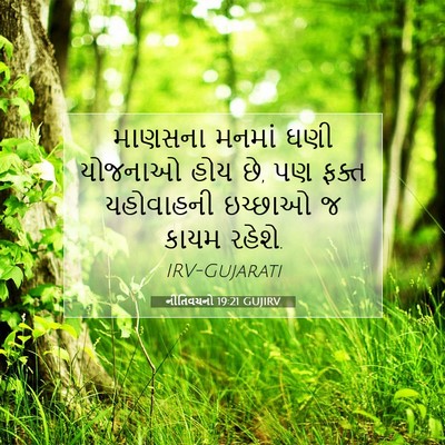 Picture 07 - નીતિવચનો 19:21 GUJIRV - માણસના મનમાં ઘણી - Bible Verse Picture