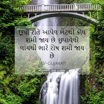 Picture 07 - નીતિવચનો 21:14 GUJIRV - છૂપી રીતે આપેલ - Bible Verse Picture