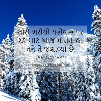Picture 07 - નીતિવચનો 22:19 GUJIRV - તારો ભરોસો યહોવાહ - Bible Verse Picture