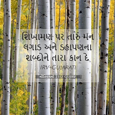 Picture 07 - નીતિવચનો 23:12 GUJIRV - શિખામણ પર તારું મન - Bible Verse Picture