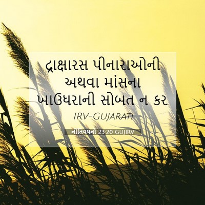 Picture 07 - નીતિવચનો 23:20 GUJIRV - દ્રાક્ષારસ - Bible Verse Picture