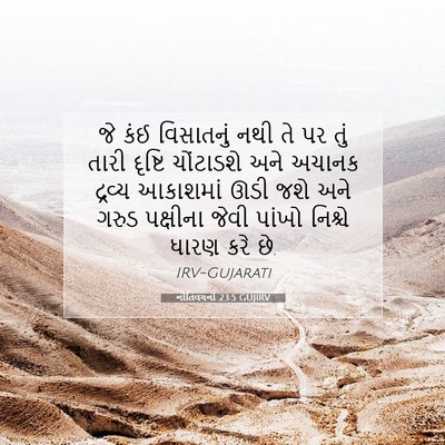 Picture 07 - નીતિવચનો 23:5 GUJIRV - જે કંઈ વિસાતનું - Bible Verse Picture