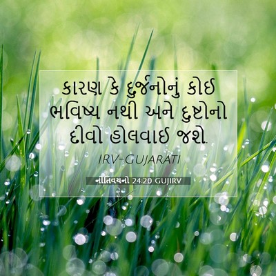 Picture 07 - નીતિવચનો 24:20 GUJIRV - કારણ કે - Bible Verse Picture