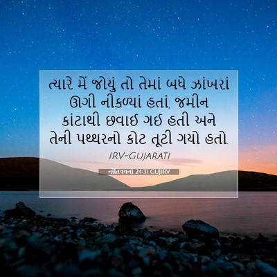 Picture 07 - નીતિવચનો 24:31 GUJIRV - ત્યારે મેં જોયું - Bible Verse Picture