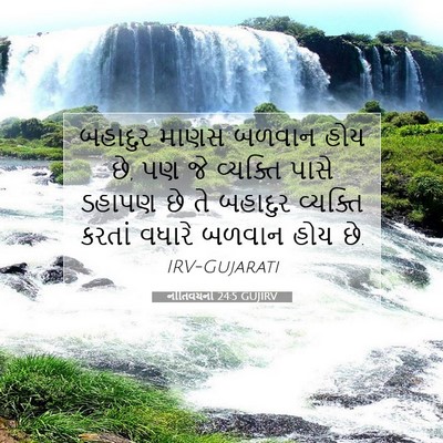 Picture 07 - નીતિવચનો 24:5 GUJIRV - બહાદુર માણસ બળવાન - Bible Verse Picture