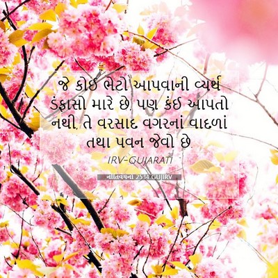Picture 07 - નીતિવચનો 25:14 GUJIRV - જે કોઈ ભેટો આપવાની - Bible Verse Picture