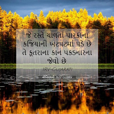 Picture 07 - નીતિવચનો 26:17 GUJIRV - જે રસ્તે ચાલતાં - Bible Verse Picture