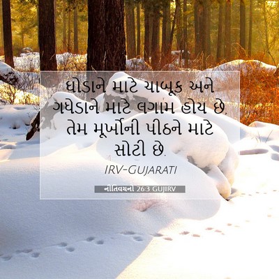 Picture 07 - નીતિવચનો 26:3 GUJIRV - ઘોડાને માટે ચાબૂક - Bible Verse Picture