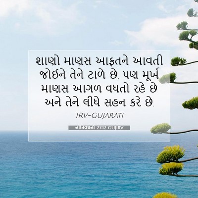 Picture 07 - નીતિવચનો 27:12 GUJIRV - શાણો માણસ આફતને - Bible Verse Picture