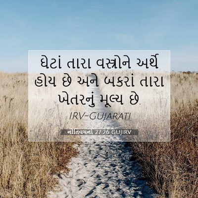 Picture 07 - નીતિવચનો 27:26 GUJIRV - ઘેટાં તારા - Bible Verse Picture