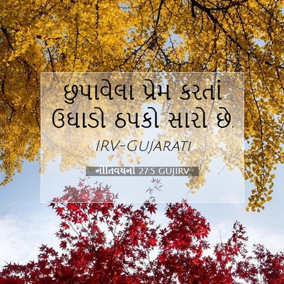 Picture 07 - નીતિવચનો 27:5 GUJIRV - છુપાવેલા પ્રેમ - Bible Verse Picture