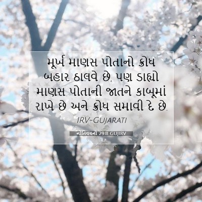 Picture 07 - નીતિવચનો 29:11 GUJIRV - મૂર્ખ માણસ પોતાનો - Bible Verse Picture