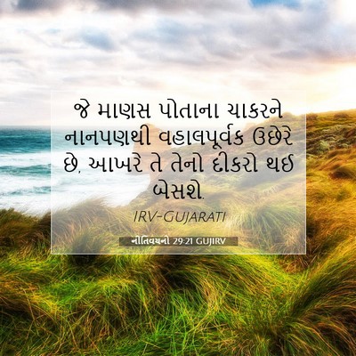 Picture 07 - નીતિવચનો 29:21 GUJIRV - જે માણસ પોતાના - Bible Verse Picture