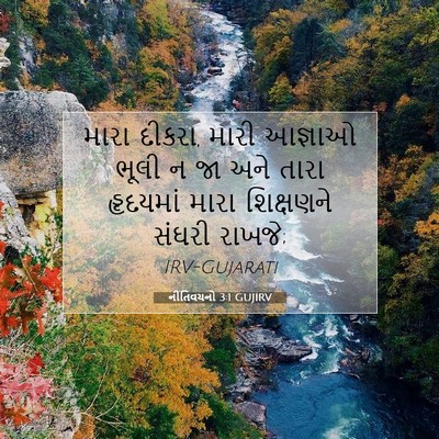 Picture 07 - નીતિવચનો 3:1 GUJIRV - મારા દીકરા, મારી - Bible Verse Picture