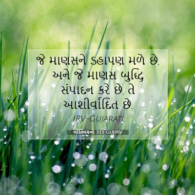 Picture 07 - નીતિવચનો 3:13 GUJIRV - જે માણસને ડહાપણ - Bible Verse Picture