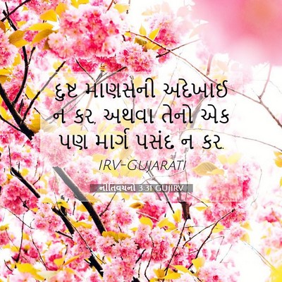 Picture 07 - નીતિવચનો 3:31 GUJIRV - દુષ્ટ માણસની - Bible Verse Picture