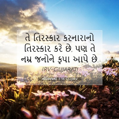 Picture 07 - નીતિવચનો 3:34 GUJIRV - તે તિરસ્કાર - Bible Verse Picture