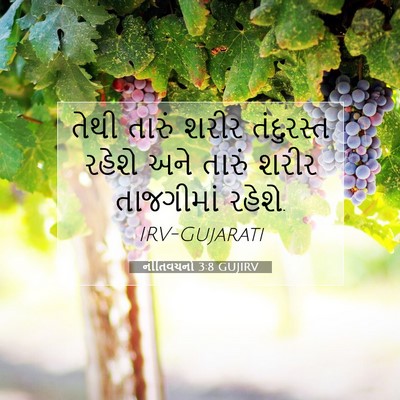 Picture 07 - નીતિવચનો 3:8 GUJIRV - તેથી તારું શરીર - Bible Verse Picture