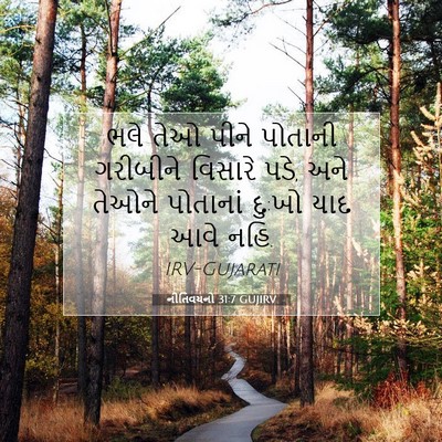Picture 07 - નીતિવચનો 31:7 GUJIRV - ભલે તેઓ પીને - Bible Verse Picture