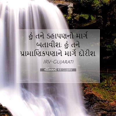 Picture 07 - નીતિવચનો 4:11 GUJIRV - હું તને ડહાપણનો - Bible Verse Picture