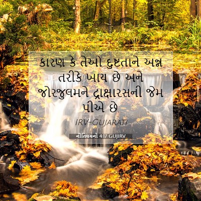 Picture 07 - નીતિવચનો 4:17 GUJIRV - કારણ કે તેઓ - Bible Verse Picture