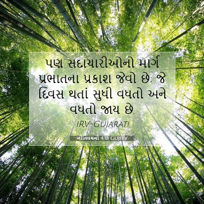 Picture 07 - નીતિવચનો 4:18 GUJIRV - પણ સદાચારીઓનો - Bible Verse Picture