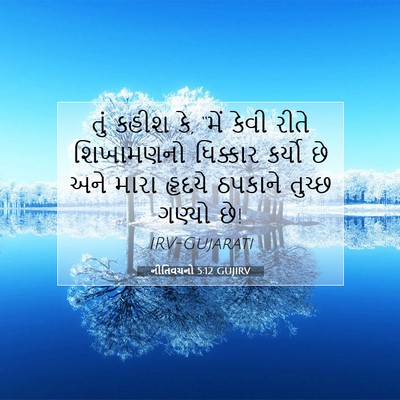 Picture 07 - નીતિવચનો 5:12 GUJIRV - તું કહીશ કે, “મેં - Bible Verse Picture
