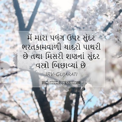Picture 07 - નીતિવચનો 7:16 GUJIRV - મેં મારા પલંગ ઉપર - Bible Verse Picture