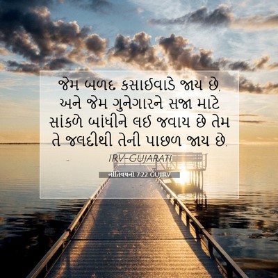 Picture 07 - નીતિવચનો 7:22 GUJIRV - જેમ બળદ કસાઈવાડે - Bible Verse Picture